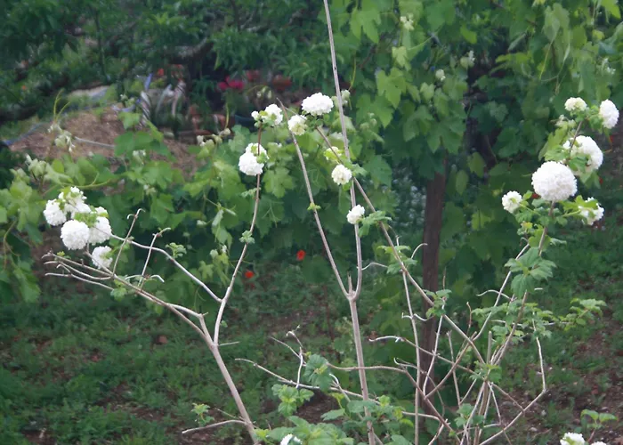 Σπίτι διακοπών Casa Da Cerca