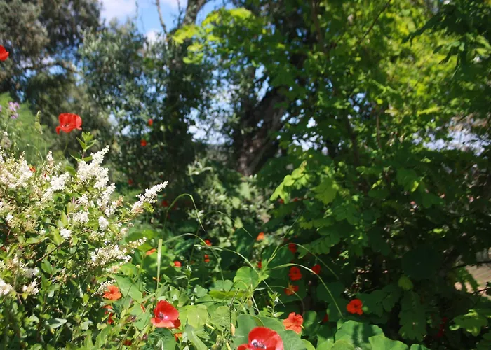 Casa Da Cerca * Όμπιδος